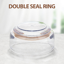 DOUBLE SEAL RING